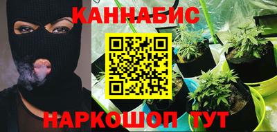 дмт Тара