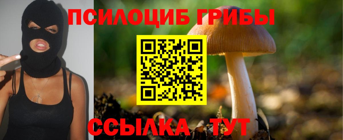 Галлюциногенные грибы Magic Shrooms Наро-Фоминск