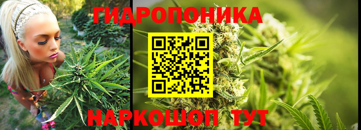 Бошки Шишки сатива  МАРИХУАНА сатива  Вход с VPN  Наро-Фоминск  Канабис конопля  Бошки марихуана SATIVA & INDICA 